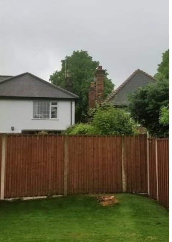 The same garden after the tree was removed